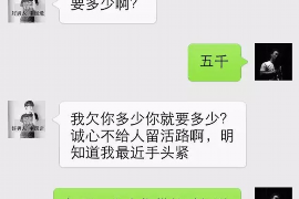 莒县债务清欠服务